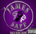 Picture for song 'ONCE BITTEN' by artist 'JAMES SAPP'