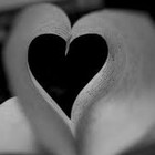 Picture for song 'MY HEART GOT SWAGG (Free D/L)' by artist 'JB BEATSZ'