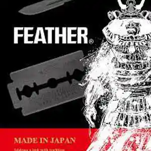 Picture for song 'Steel Feather' by artist 'Johanna Renfro'