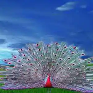 Picture for song 'Universal Curse' by artist 'Johanna Renfro'