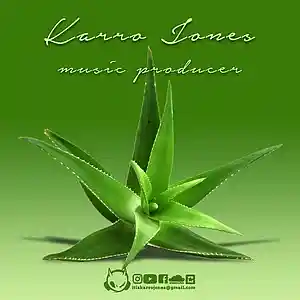 Picture for song 'ALOE' by artist 'KARRO JONES'