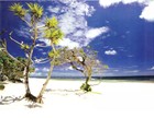 Picture for song '19 Treasure Cove' by artist 'Longboard Ranch'