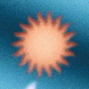 Picture for song 'Sea' by artist 'MaDrumBeats'
