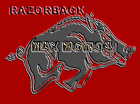 Picture for song 'Razorback.mp3' by artist 'Max-Motion'