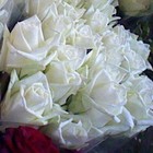 Picture for song ''We Will Always Miss You'' by artist 'Nadia Cripps'