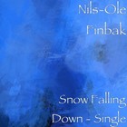 Picture for song 'Snow Falling Down' by artist 'Nils-Ole Finbak'