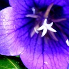 Picture for song 'SIX STEPS' by artist 'PHIL SORIA'