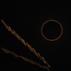 Picture for song 'Catatonia (CD Darkness)' by artist 'Phrixus'