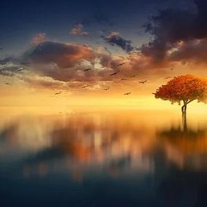 Picture for song 'Key of life' by artist 'Piperpilot'