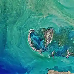 Picture for song 'Tremble' by artist 'P.R Beats'