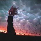 Picture for song 'The Blowing Wind' by artist 'Rainie Thao Vy'