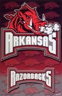 Picture for song 'The Razorbacks are Comin' by Rapid Fire' by artist 'Rapid Fire Ministries'