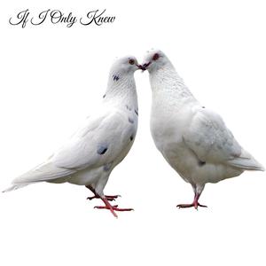 Picture for song 'If I Only Knew' by artist 'Sean Ferree'