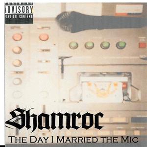 Picture for song 'State of the Art' by artist 'Shamroc'