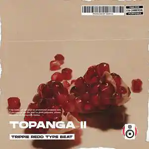 Picture for song 'Topanga (Buy 1 Get 2 Free)' by artist 'Shiryai'