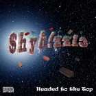 Picture for song 'Prepare 4 Launch (S-H-Y-H-1-Z-Z-L-3)' by artist 'Shyhizzle'