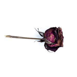 Picture for song 'Bad Romance / Live Romantic Soul Groove type beat' by artist 'TAVAmusic'