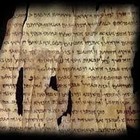 Picture for song 'Prophecy - JAV ft THE PAIN MAN & SINIMA' by artist 'THE PAIN MAN'