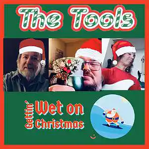 Picture for song 'Get Wet On Christmas' by artist 'The Tools'