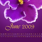 Picture for song 'june 2009' by artist 'TigerShadow'