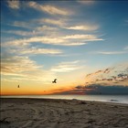Picture for song 'ANOTHER DAY *BANGER* (*LIVEGUITAR*) (.75 demo)' by artist 'Topmass Productions'