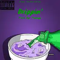 Picture for song 'Drippin'' by artist 'CosaNostraTrippyy'