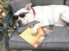 Picture for song 'Lazy Days' by artist 'Un-Original'