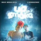 Picture for song 'Kush n' my lungz (Wiz & Curren$y) **FIRE**' by artist 'Veezy Valor Beatz'