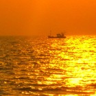 Picture for song 'Malkaus on Sax' by artist 'Vikram (US)'