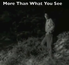 Picture for song 'More Than what You See' by artist 'Volans'