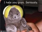 Picture for song '*Hit* Hate On It | Leasing Rights $10.99' by artist 'WorldStarBeatz'