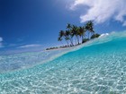 Picture for song 'Summer Breeze *HOT*' by artist 'XXXMAKEITBOUNCE'