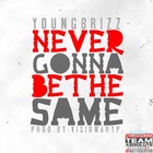 Picture for song 'Never Gonna Be The Same (PROD. BY CHAISEY P.)' by artist 'youngbrizzmusic'
