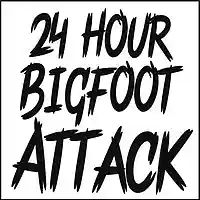 Picture for song 'Down Days' by artist '24 Hour Bigfoot Attack'