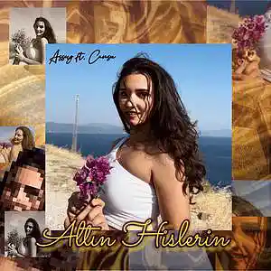 Picture for song 'Altin Hislerin' by artist 'Assey'