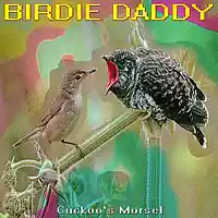 Picture for song 'Cuckoo's Morsel (uncut)' by artist 'Birdie Daddy'
