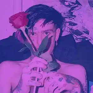 Picture for song 'Endless (Lil Peep Type Beat)' by artist 'Bonnie Beats'