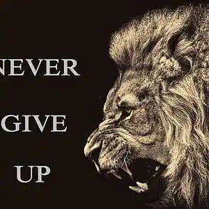 Picture for song 'Free Download --- NEVER' by artist 'DNA DUO Beats'