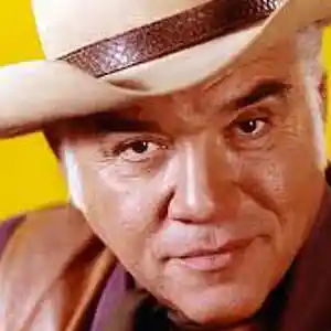 Picture for song 'Bonanza Theme' by artist 'Previous Signs of Decay'