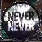 Picture for song 'Never Never' by artist 'Red Miller'