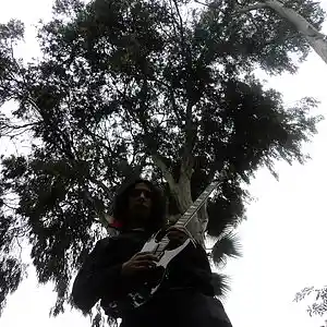 Picture for song 'Perdoname' by artist 'ricardo roa'