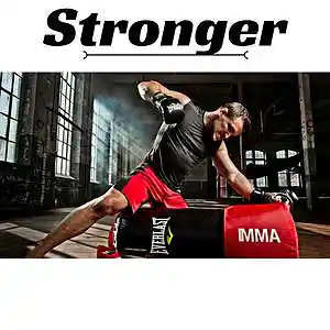 Picture for song 'Stronger' by artist 'SoDdY Beats'