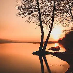 Picture for song '"Peaceness" 100 BPM Chill Instrumental Beat' by artist 'CephasMusic'