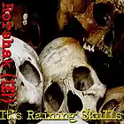 Picture for song 'It's Raining Skulls' by artist 'Rorshak'