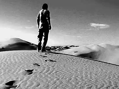 Picture for song 'Sooner Or Later.R' by artist 'The Lettermen'