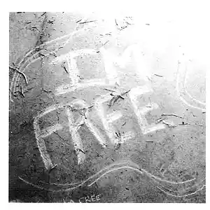 Picture for song 'I'm Free - No More Suffering For Me' by artist 'TripFandago and Company'