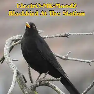 Picture for song 'Blackbird At The Station (04:27 to Ambientville)' by artist 'ElectrO-NIK-MoodZ'
