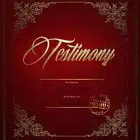 Picture for song 'Testimony ft. Boldy James prod. Geno XO' by artist 'GENO XO'