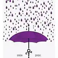 Picture for song 'Purple Rain' by artist 'HemiPowerHouse'