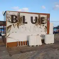 Picture for song 'Blue Monkey' by artist 'Philip Taylor'